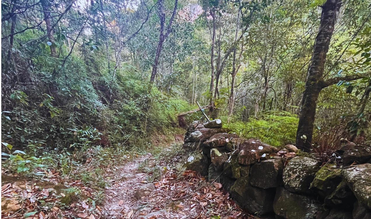 Vale do Pati