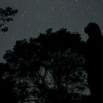 Céu Estrelado no Vale do Pati