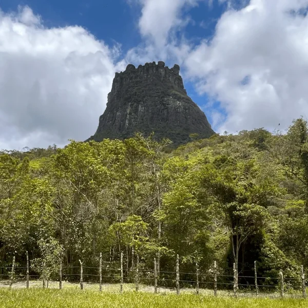 Foto panorâmica do Morro do Castelo, céu azul e vegetação ao fundo