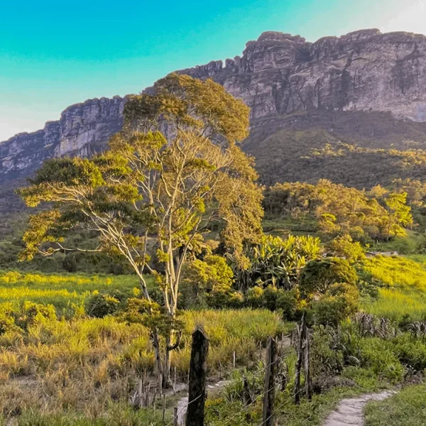 Paisagem no Vale do Pati, região florida por São João e serra do Sobradinho ao Fundo.