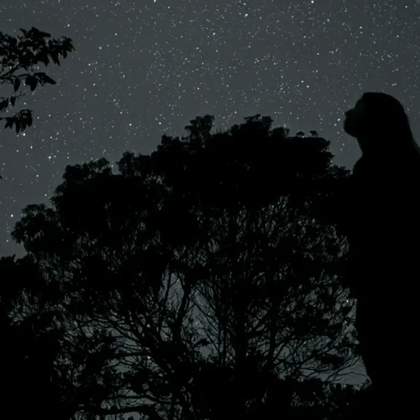 Silhueta de trilheira contemplando o céu estrelado e astroturismo noturno no Vale do Pati na Chapada Diamantina