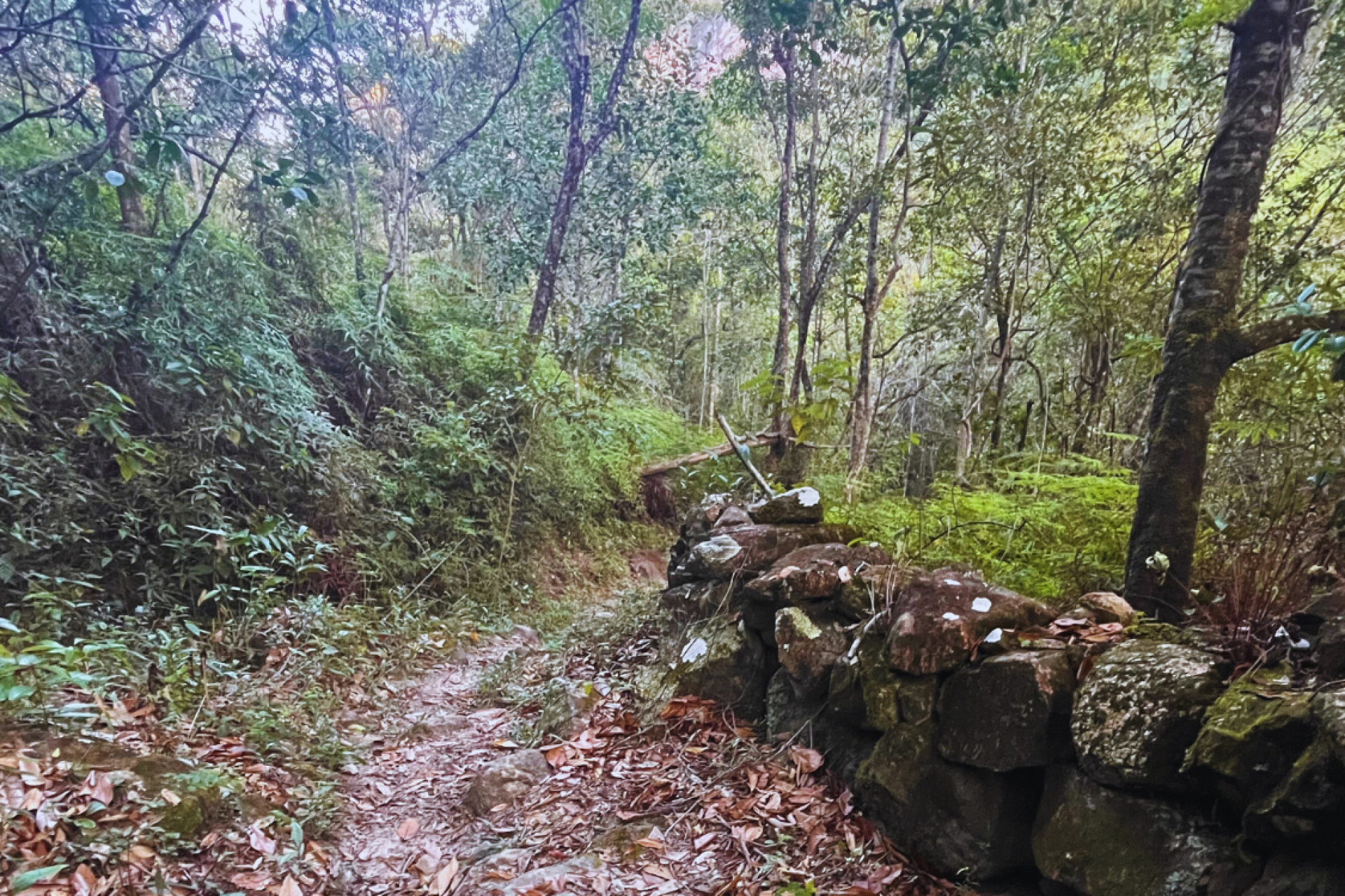 Vale do Pati Vale do Pati